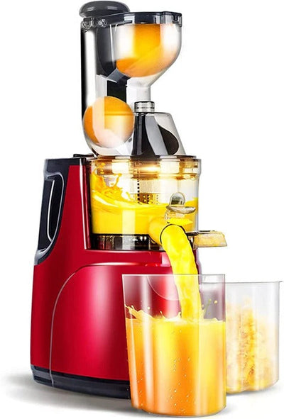 Automatic Juicer for Fruits and Vegetables Extractor