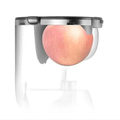 Automatic Juicer for Fruits and Vegetables Extractor