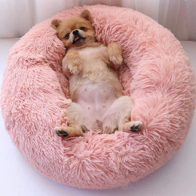 Milowa Soft Orthopedic Pet Bed for Cats and Dogs