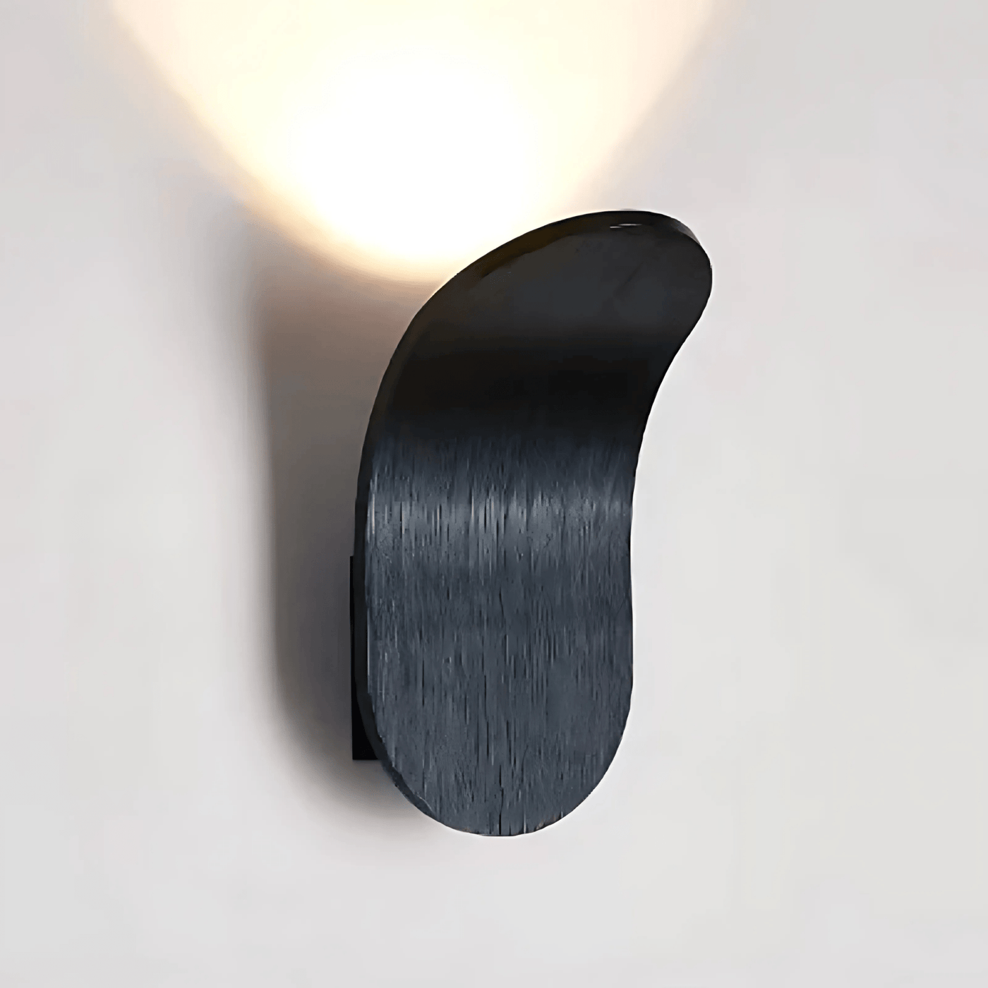 Modern Curved Wall Lamp with LED Light