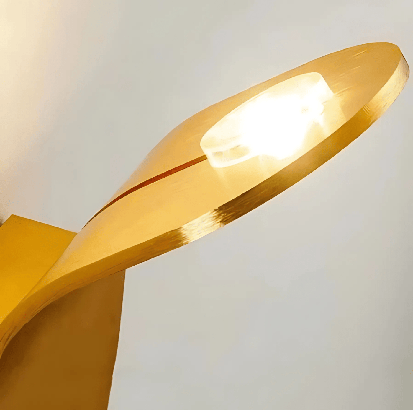 Modern Curved Wall Lamp with LED Light