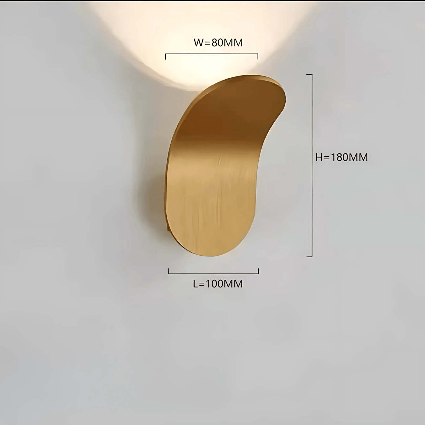 Modern Curved Wall Lamp with LED Light