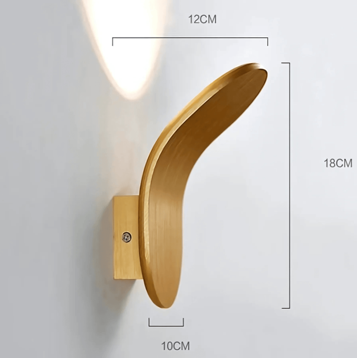 Modern Curved Wall Lamp with LED Light