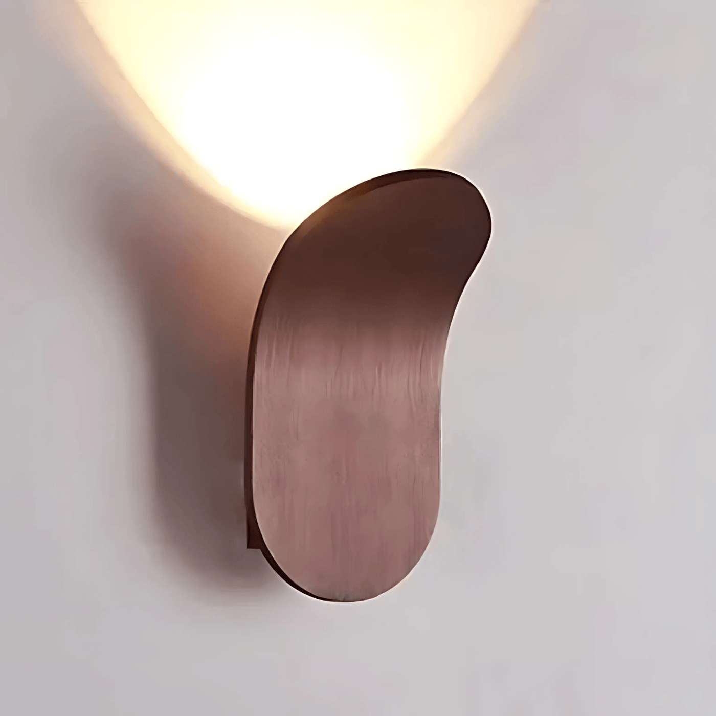 Modern Curved Wall Lamp with LED Light