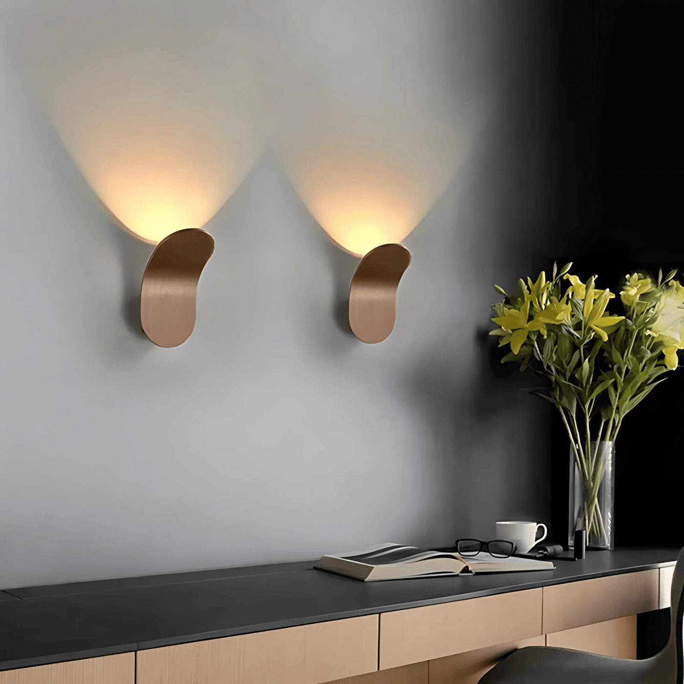 Modern Curved Wall Lamp with LED Light