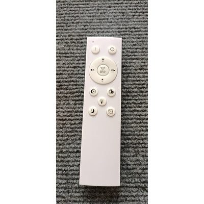 Modern LED Curved Tube Ceiling Light Fixture