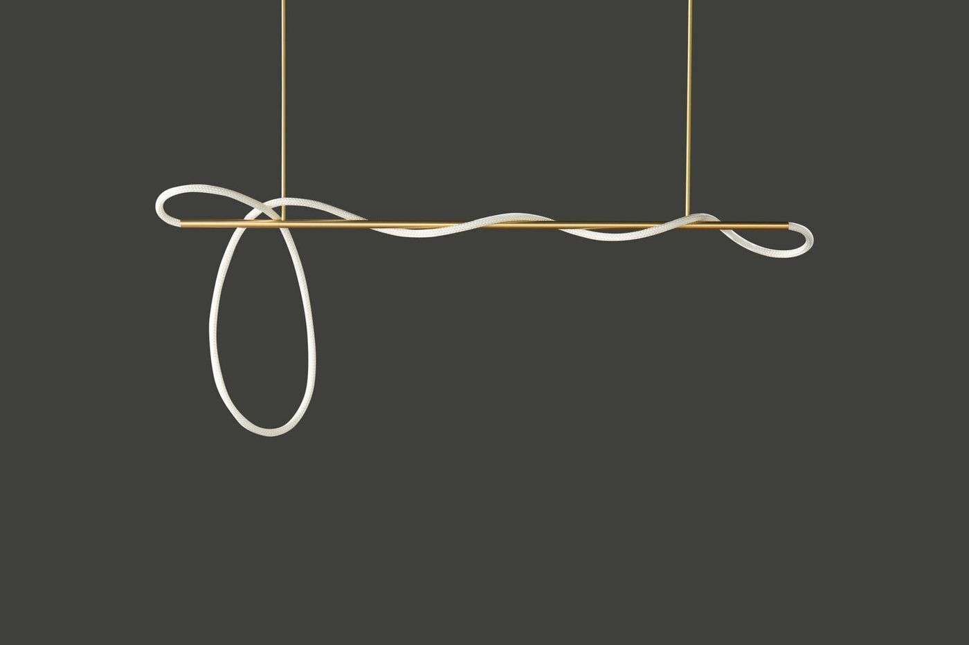 Modern LED Curved Tube Ceiling Light Fixture