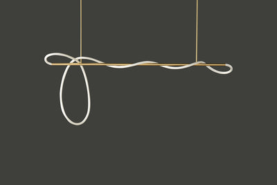 Modern LED Curved Tube Ceiling Light Fixture
