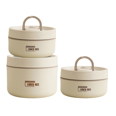 Multi-Layer Insulated Lunchbox with Free Carry Bag