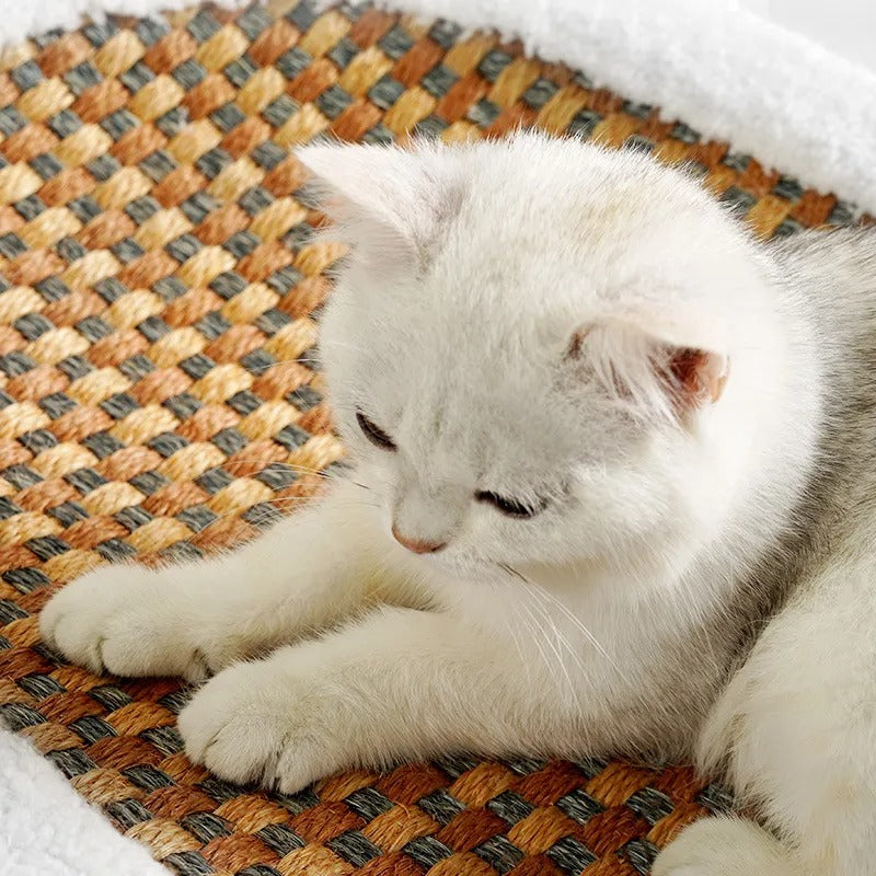 Premium Cat Bed with Integrated Scratching Board