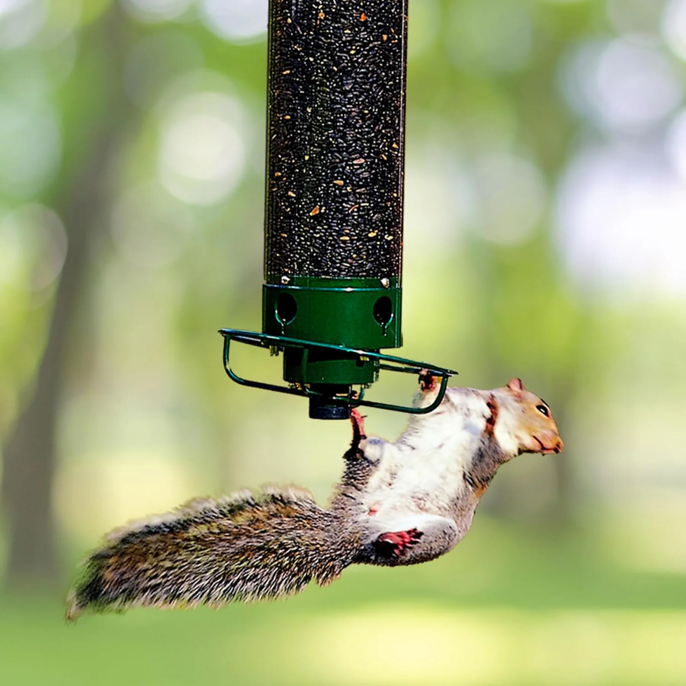 Metal Hanging Squirrel-Proof Bird Feeder for Gardens
