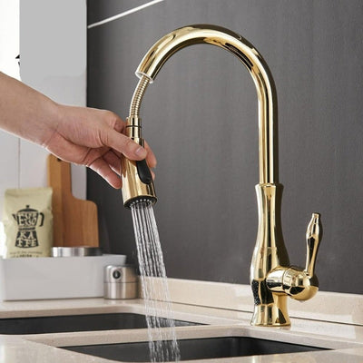 Retractable Stainless Steel Kitchen Sink Faucet