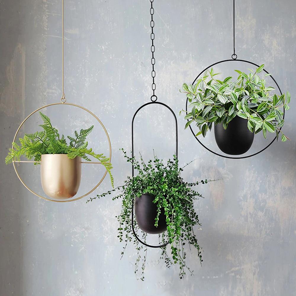 Wall Hanging Metal Plant Holder – FloraFrame