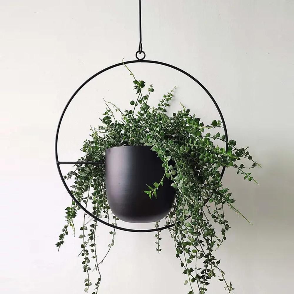 Wall Hanging Metal Plant Holder – FloraFrame