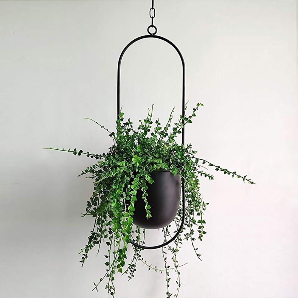 Wall Hanging Metal Plant Holder – FloraFrame
