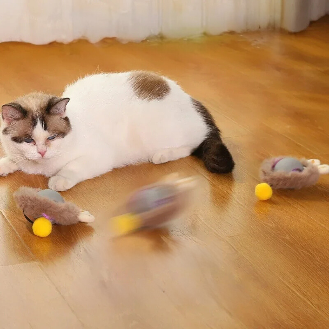 Interactive Rolling Ball Toy with Tail for Cats
