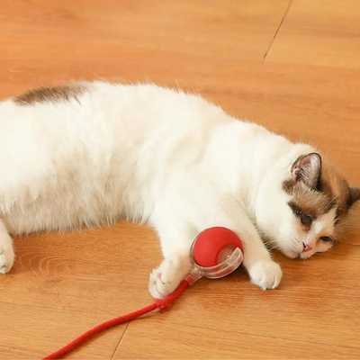 Interactive Rolling Ball Toy with Tail for Cats