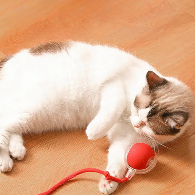 Interactive Rolling Ball Toy with Tail for Cats