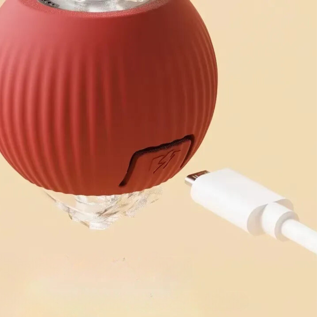Interactive Rolling Ball Toy with Tail for Dogs