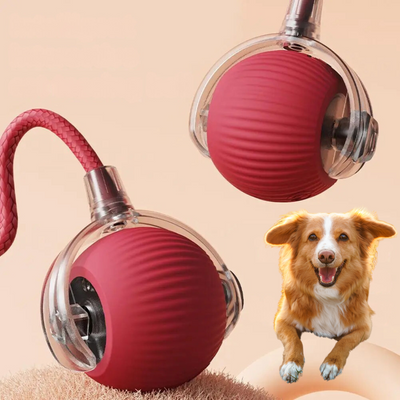 Interactive Rolling Ball Toy with Tail for Dogs