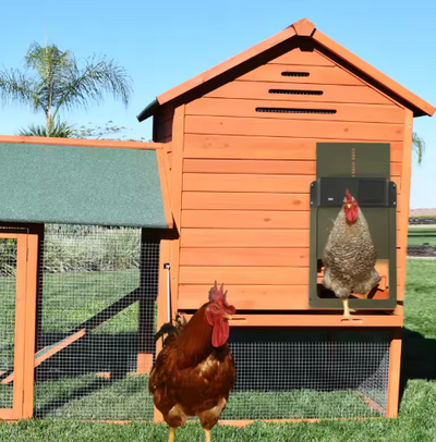 Automatic Chicken Coop Door Opener with Timer and Light Sensor