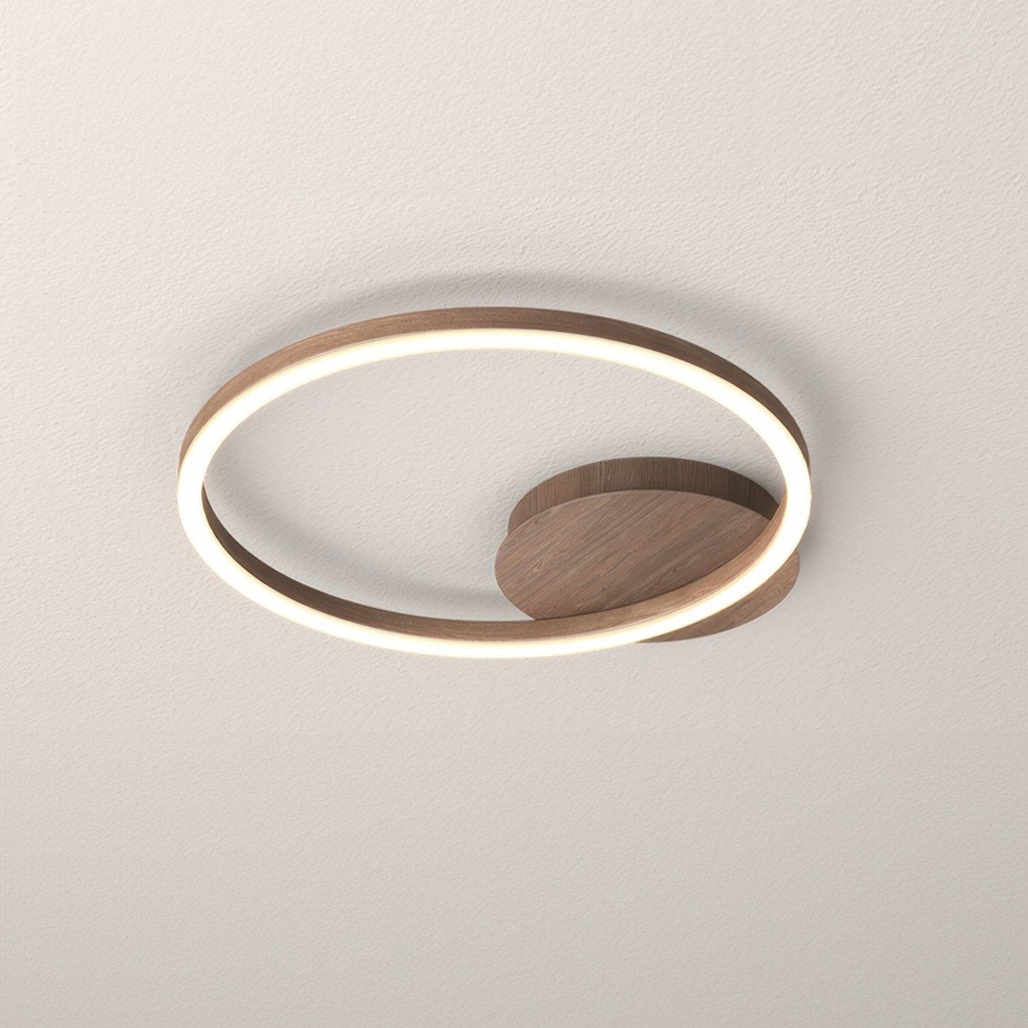 Elegant Design Ring Ceiling Light
