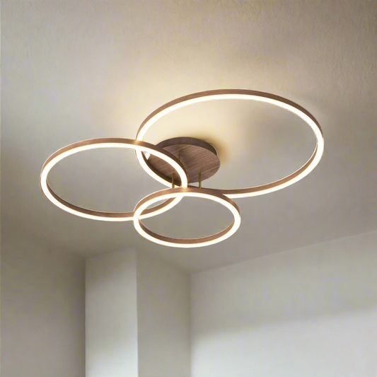 Elegant Design Ring Ceiling Light
