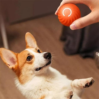 Interactive Rechargeable Jumping Ball Toy for Dogs
